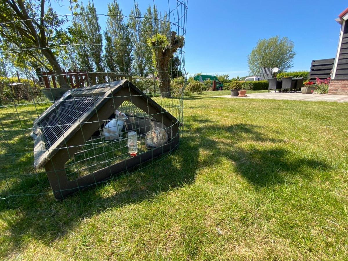 Appartement 5 Vrouwenpolder Zewnętrze zdjęcie